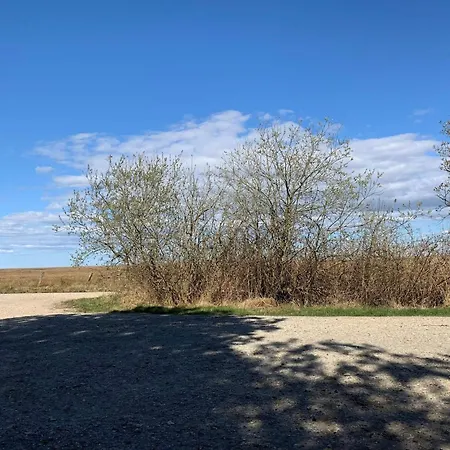 דירה 8 Person In Hemmet-by Traum *